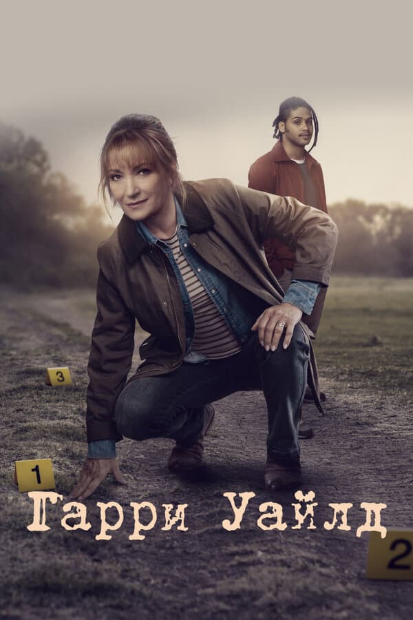 Постер к «Гарри Уайлд»