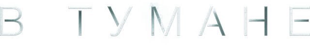 В тумане